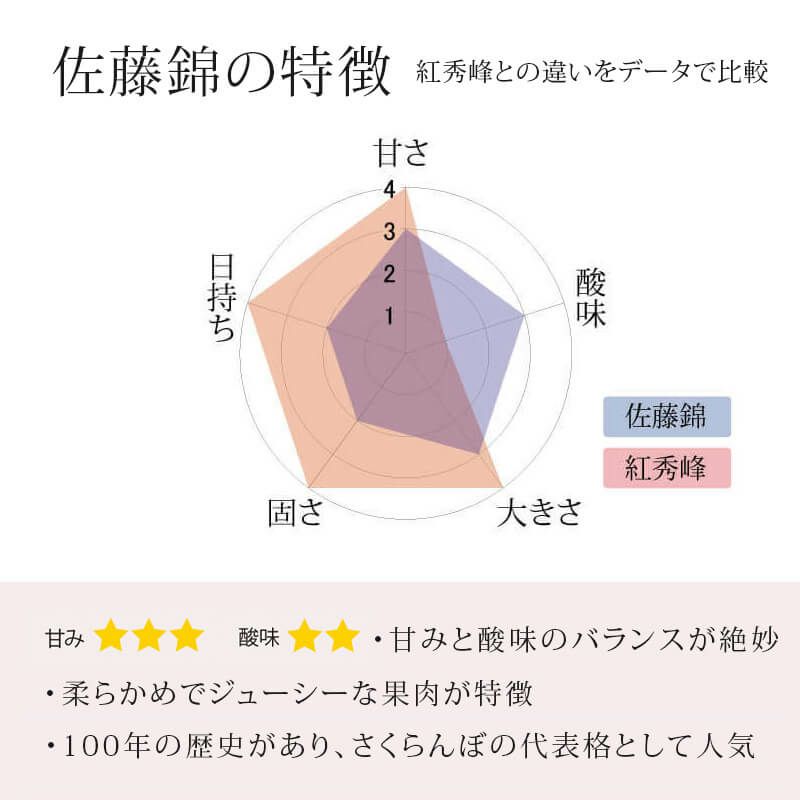 佐藤錦の特徴