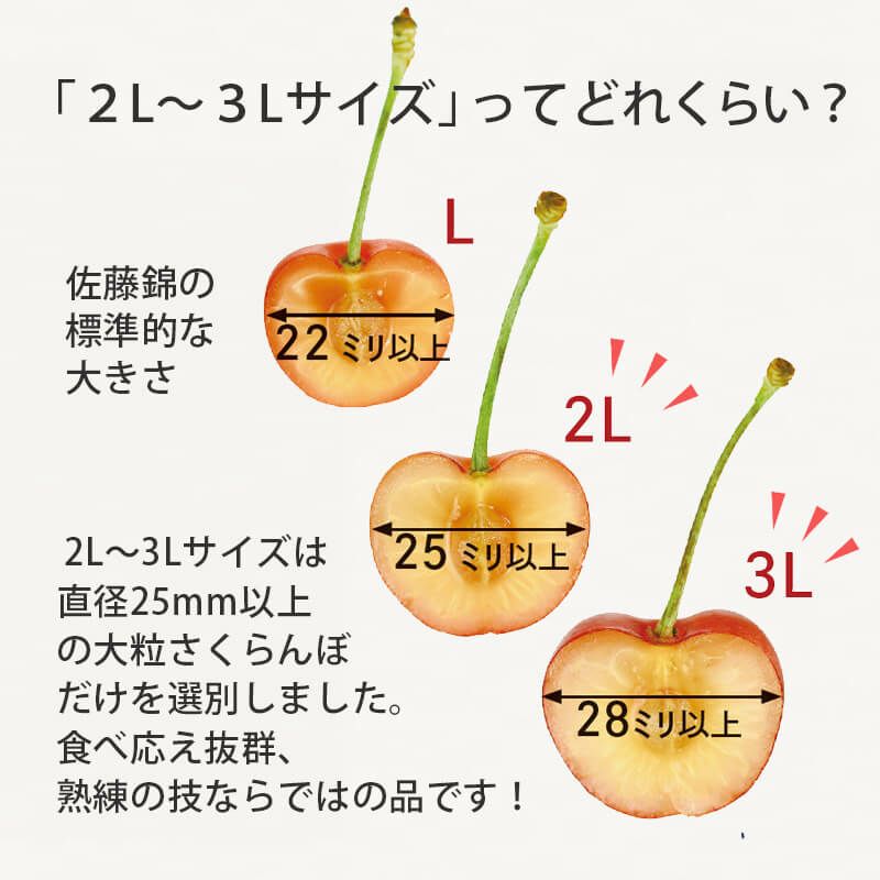 2～3Lってどのくらい？