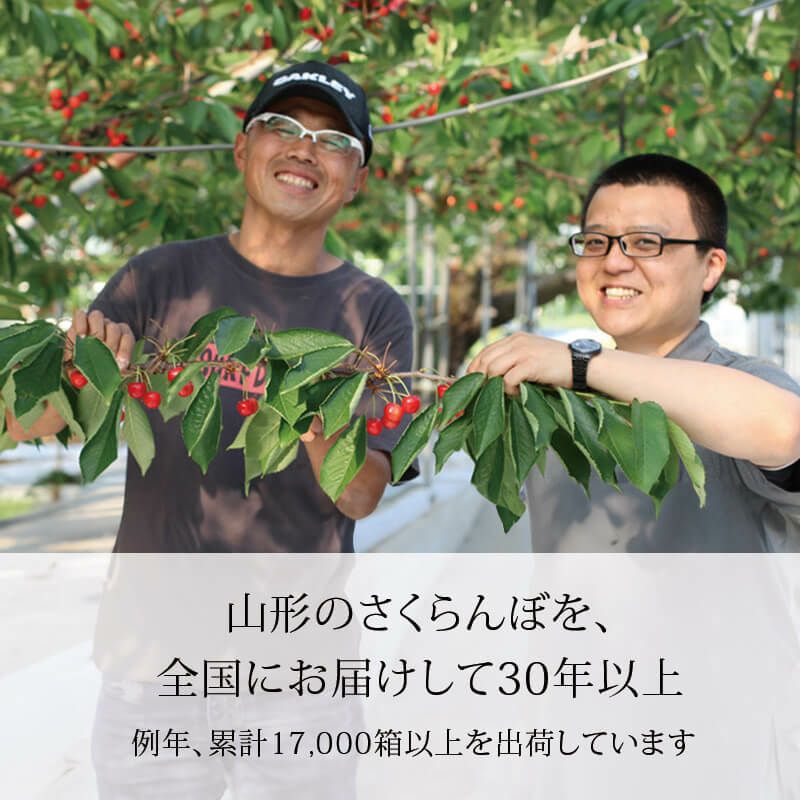 紅秀峰 特選バラ詰め 2～3L700g 山形さくらんぼ大粒ファミリーサイズ