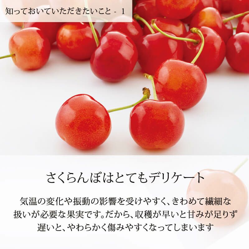 知っておいていただきたいこと-1