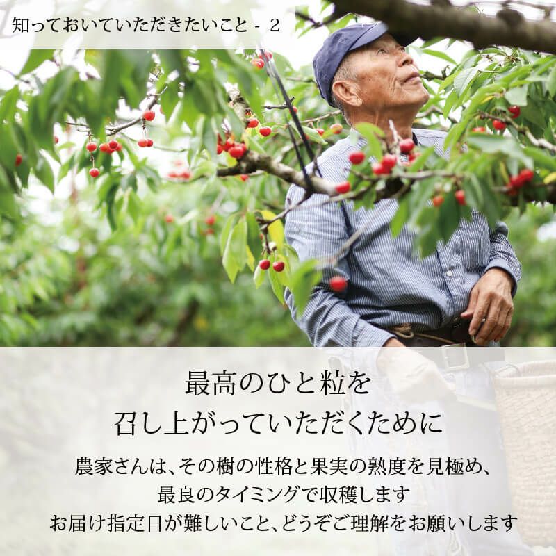 知っておいていただきたいこと-2