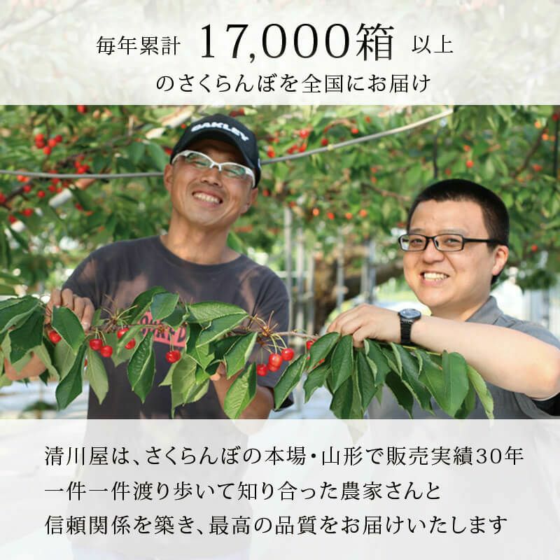 17000箱をお届け