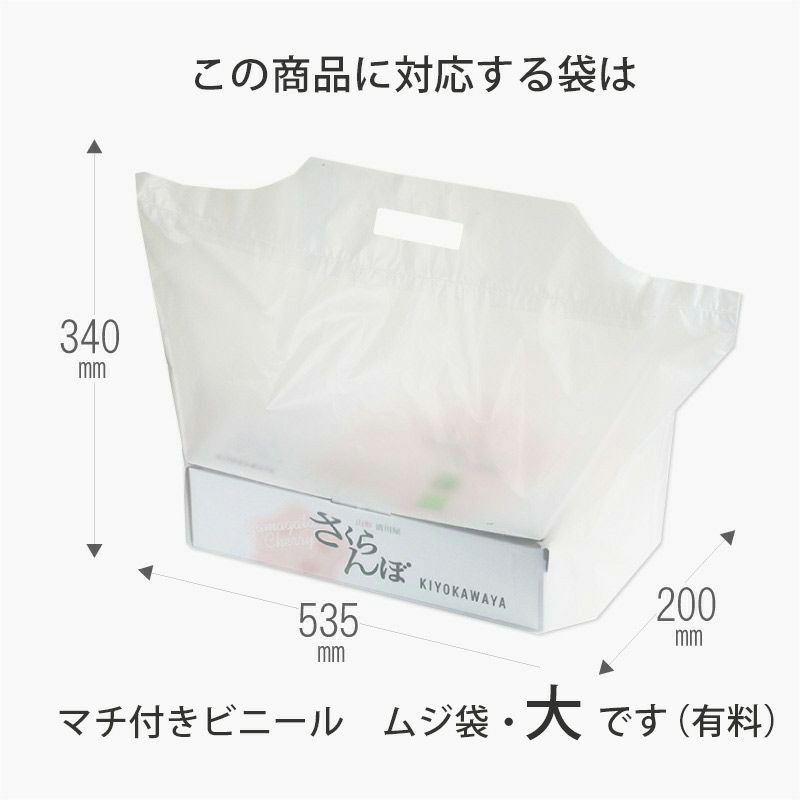 無地袋中