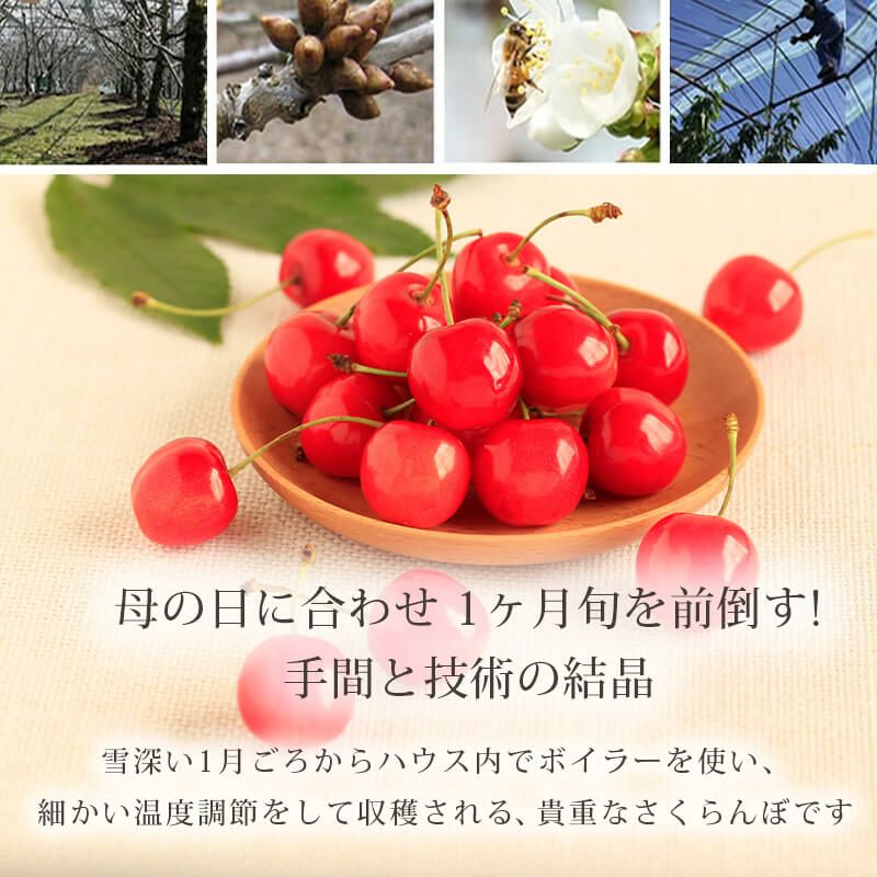 母の日 さくらんぼ 佐藤錦 手詰め Lサイズ_イメージ