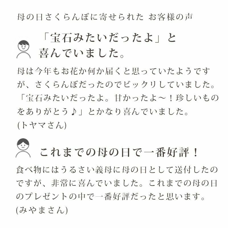 母の日 さくらんぼ 佐藤錦 手詰め Lサイズ_お客様の声