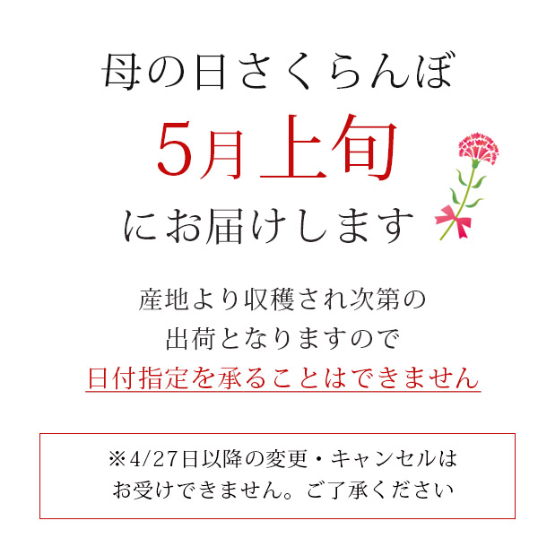 母の日 さくらんぼ 佐藤錦 手詰め Lサイズ_お届け期間説明
