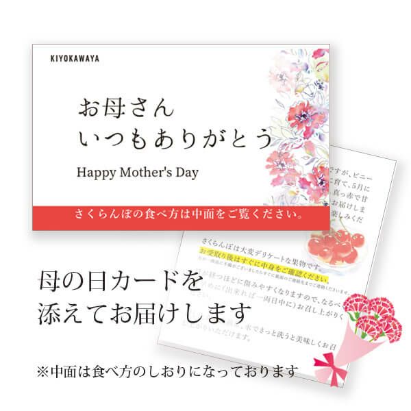 母の日 さくらんぼ 佐藤錦 手詰め Lサイズ_母の日カード