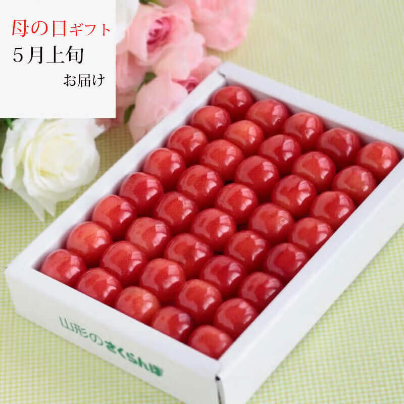 母の日 さくらんぼ 佐藤錦 手詰め 2Lサイズ 300g (化粧箱入) 母の日 母の日 さくらんぼ 佐藤錦 手詰め 2Lサイズ 300g (化粧箱入) 母の日