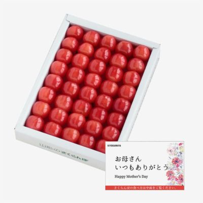 母の日 さくらんぼ 佐藤錦 手詰め 2Lサイズ 300g (化粧箱入) | 清川屋