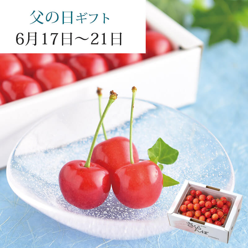 さくらんぼ様専用 さくらんぼさま専用 【公式通販】