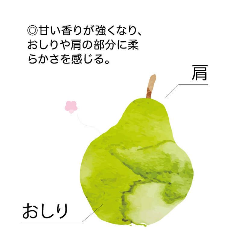 ゴールド ラ・フランス 山形県産希少な洋梨｜清川屋