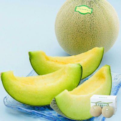 山形庄内産アンデスメロン5玉セット メロン アンデスメロン 優アップ 約5kg 3～5玉 山形県産<br