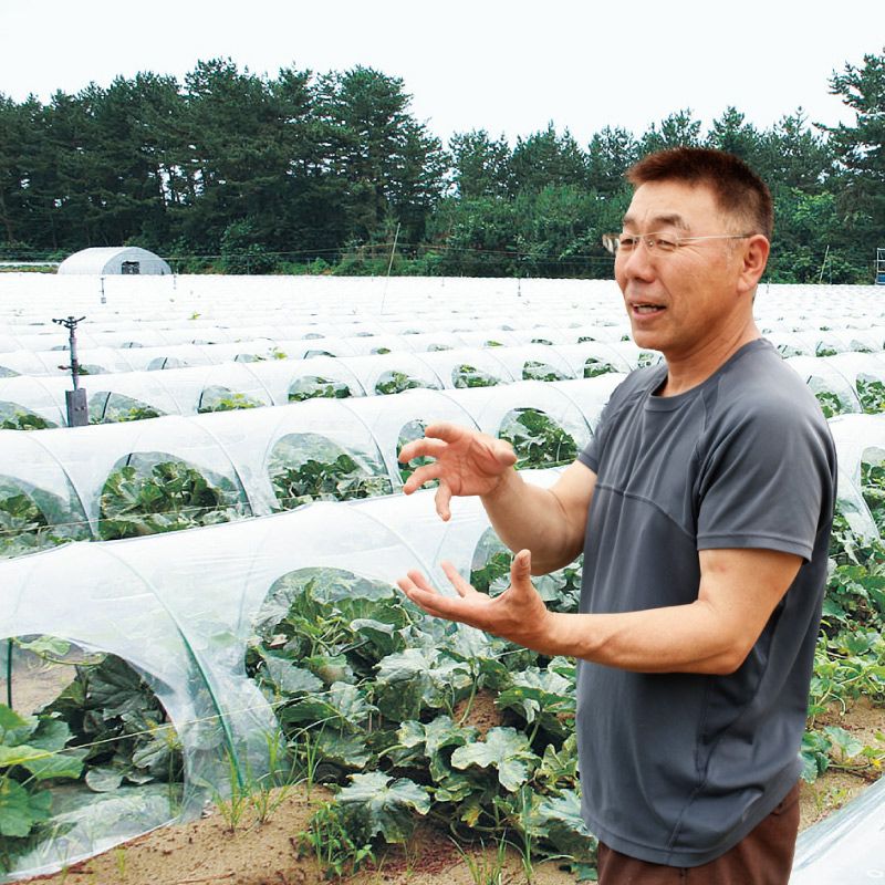 清川屋のアンデスメロン_生産者・川村さん