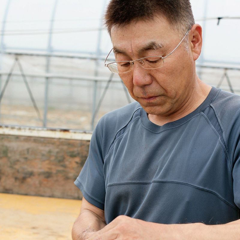 清川屋のアンデスメロン_生産者・川村さん