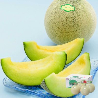 川村さんの清川屋アンデスメロン 4～5玉（約5kg） 6月下旬～7月下旬お届け