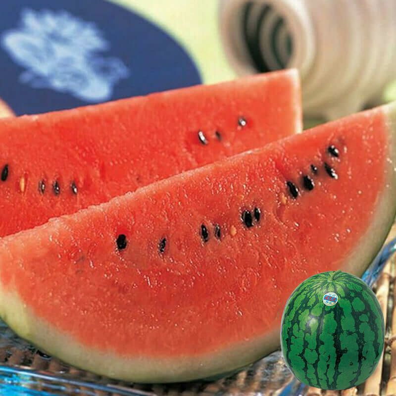 尾花沢大玉スイカ5～6L×1玉_イメージ2