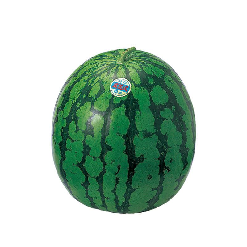 尾花沢大玉スイカ5～6L×1玉_パッケージ