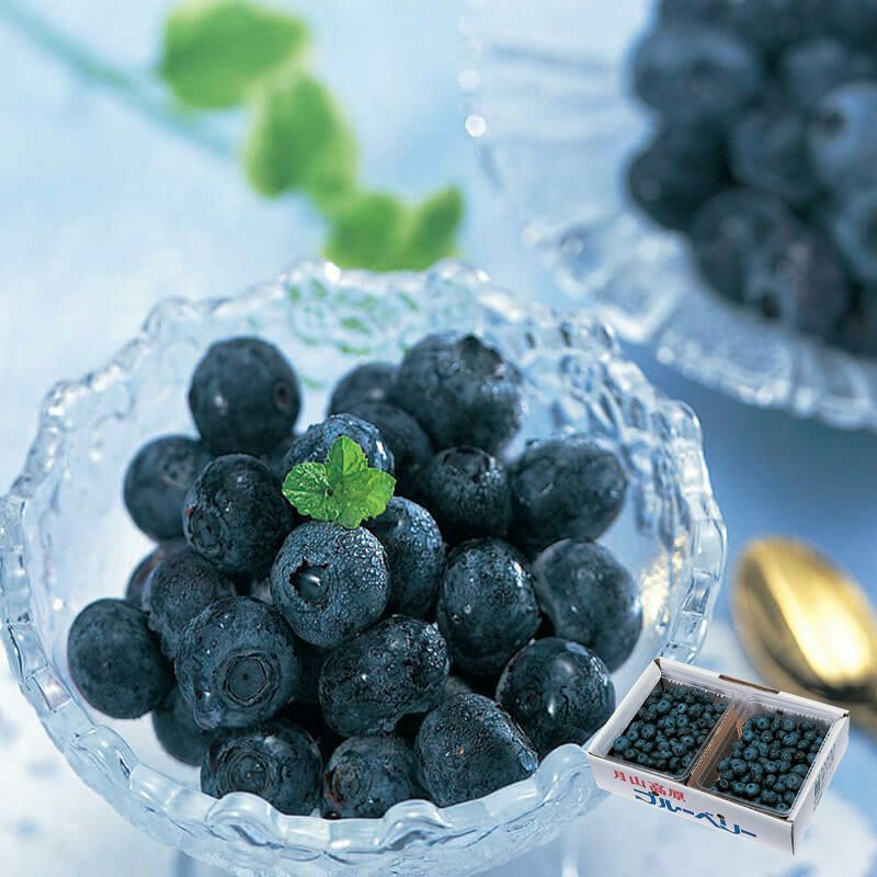 月山高原-ブルーベリー-(冷凍)_イメージ