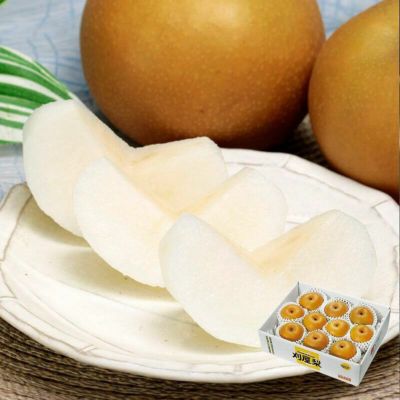 特選 刈屋梨 豊水 4kg 山形県酒田市刈屋地区産ジューシーな和梨｜清川屋