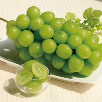 シャインマスカット ぶどう 2～3房 種無し皮ごと食べれる