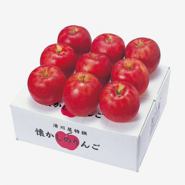 りんご　10kg (1kg＝8ー12個)