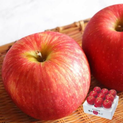 和合平産りんご つがる 8～10玉（約2.5kg） 9月上旬～9月中旬お届け