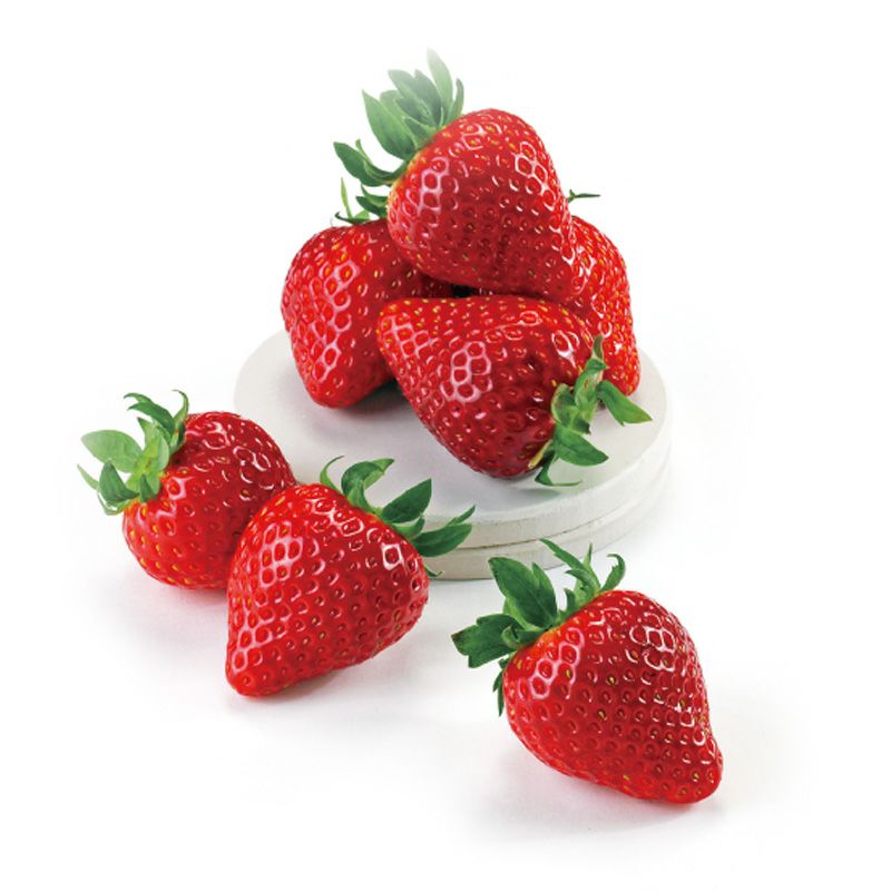 雪国の春採り苺_イメージ2