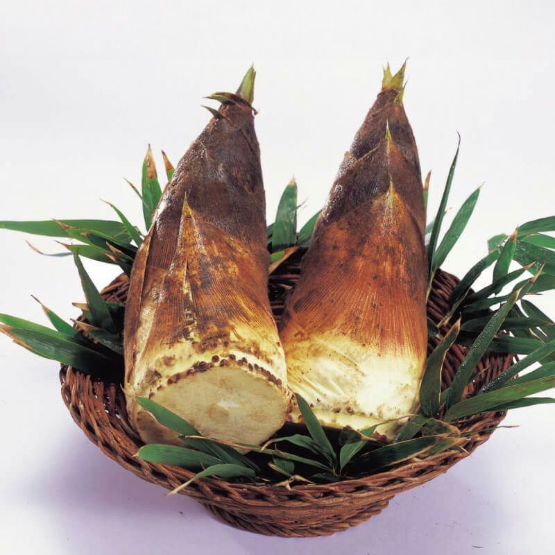 朝採り黄金孟宗