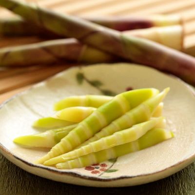 口コミ・レビュー評価が高いおすすめ人気商品の通販 特大月山筍 山形県月山筍（がっさんだけ）細竹山菜｜清川屋 野菜