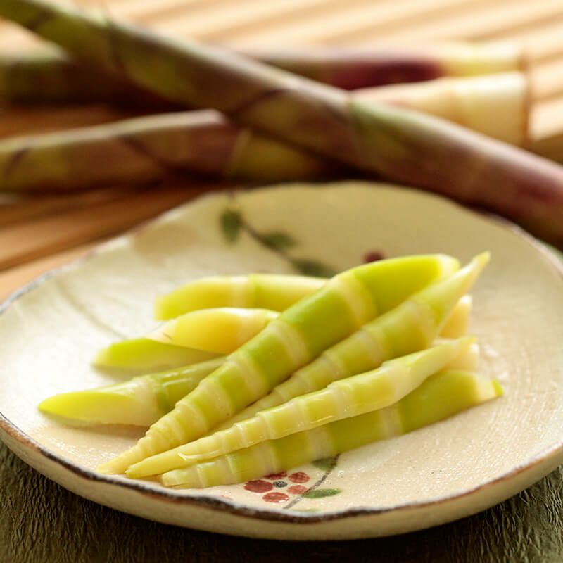 特大月山筍_イメージ