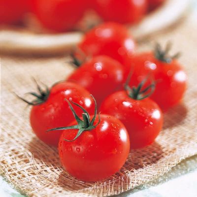 樹熟トマト 7～10玉×2パック 7月中旬～8月中旬お届け