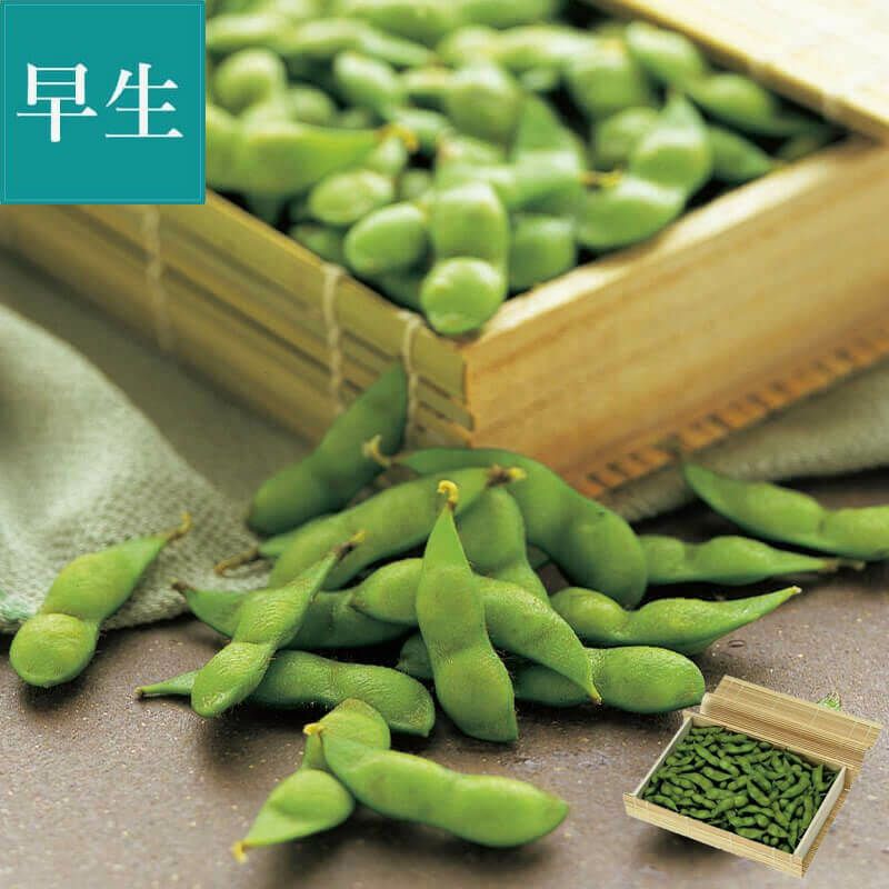 寺田村産 だだちゃ豆 〔極味〕 竹簾箱入り ＜早生豆＞ 8月上～中旬お届け_イメージ１