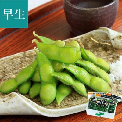 特選 だだちゃ豆  <早生豆> 8月上~中旬お届けイメージ