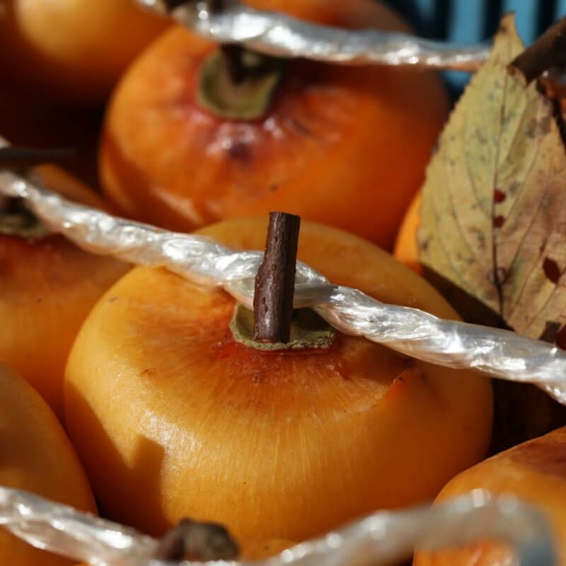 紅ほし柿 L 32玉 (化粧箱入) 山形紅柿の干し柿｜清川屋