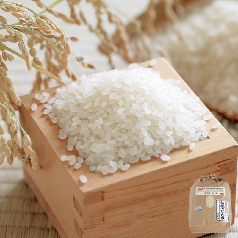 庄内　黄金の郷里　コシヒカリ 特別栽培米 5kg×2袋　精米時期3月下旬 庄内 黄金の郷里 コシヒカリ 特別栽培米 5kg×2袋 精米時期3月下旬 庄内