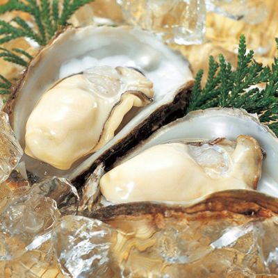 庄内浜天然岩ガキ (生食用)