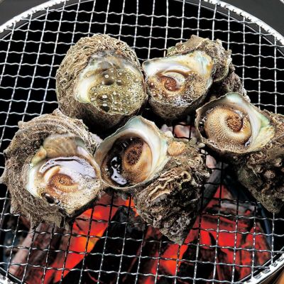 飛島大粒サザエ