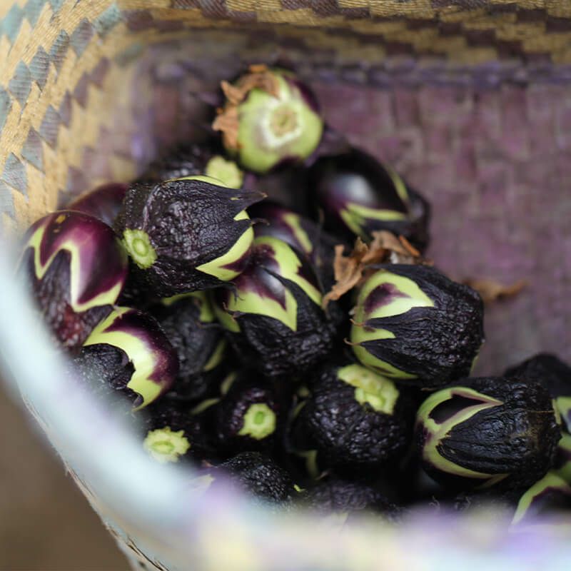 民田茄子一夜漬 鶴岡夏の味民田なす一夜漬け｜清川屋