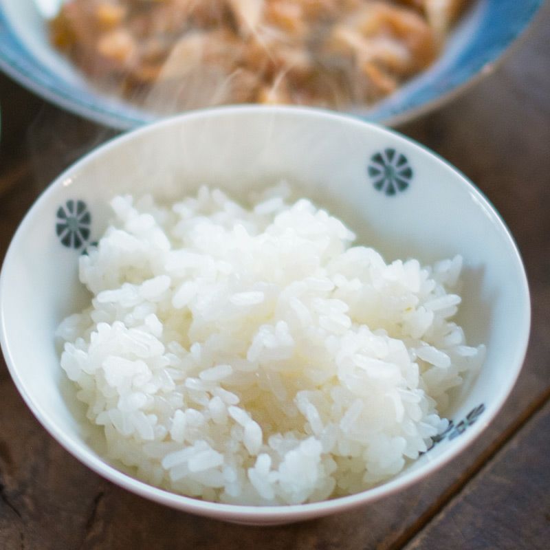 伝説の庄内米 雪若丸 5kg 25年(令和7年度産)庄内米 山形県のお米
