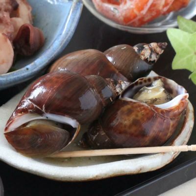ばい貝のうま煮