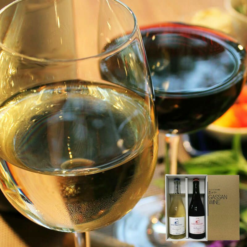 月山ワイン-ソレイユ・ルバン-フリッザンテ-2本入_イメージ