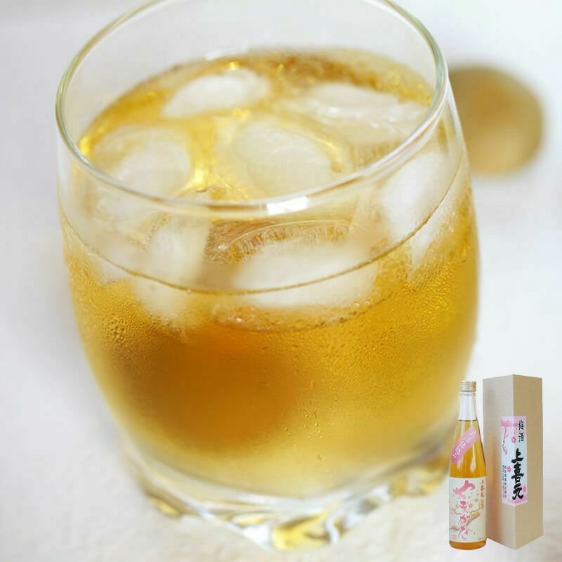 上喜元-梅酒-やまがた-500ml_イメージ