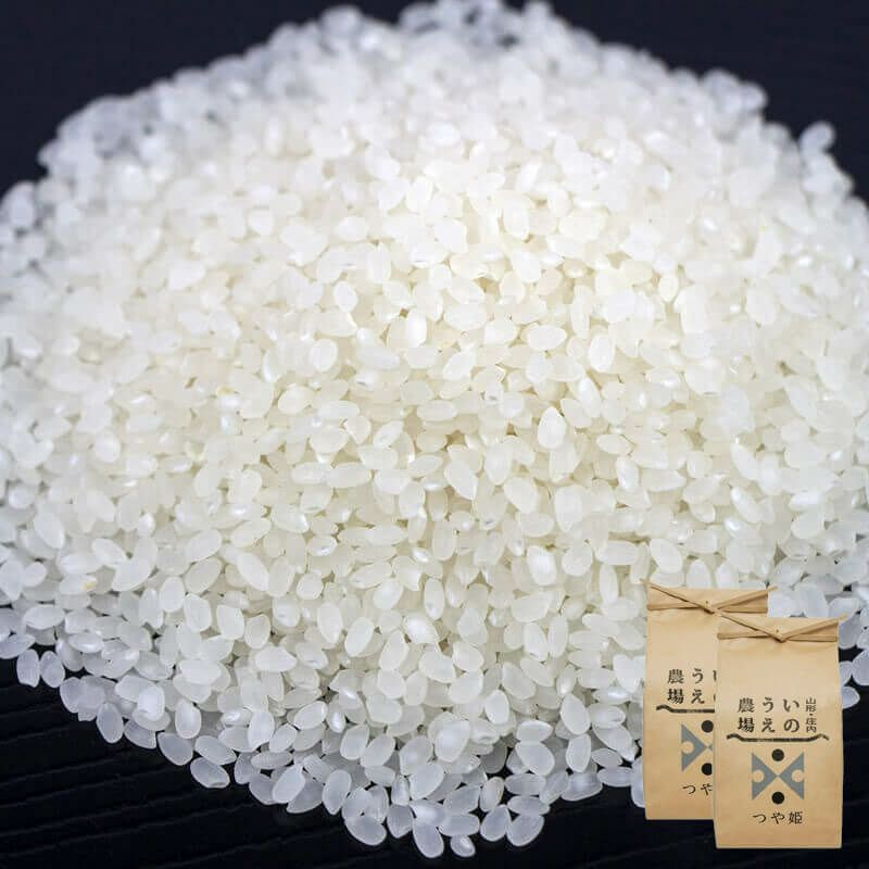 伝説の庄内米 つや姫 5kg 25年(令和7年度産)庄内米 山形県のお米｜清川屋