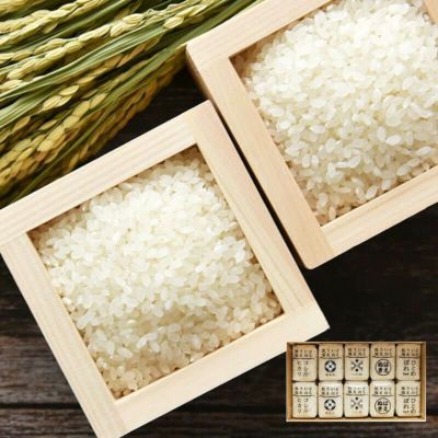 伝説の庄内米 3種食べ比べセット 25年(令和7年度産)庄内米 山形