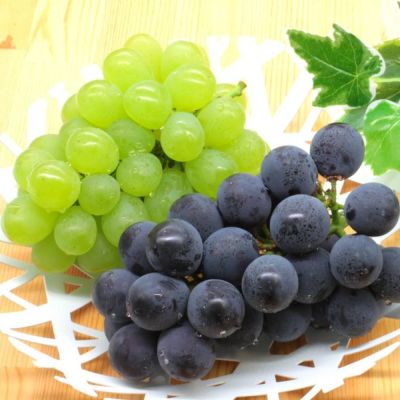 大粒ぶどう二種セット 各1房（約900g） 9月中旬～9月下旬お届け