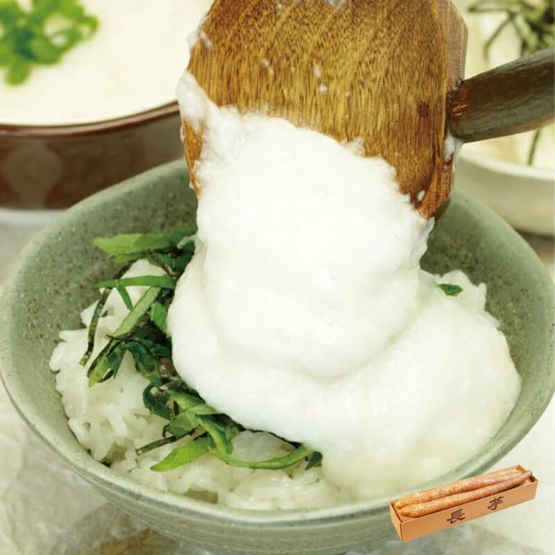 庄内砂丘長いも-2本_イメージ