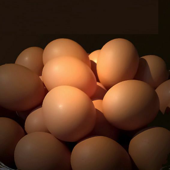 大寒卵で作る究極のTKG（卵かけごはん）セット