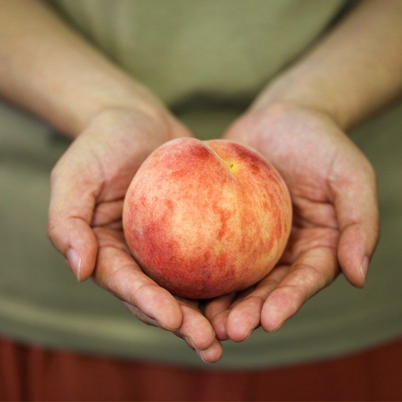 暁星_イメージ2