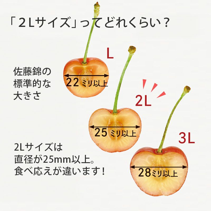 真の桜桃【紅秀峰】2Lサイズ 1kgイメージ画像２