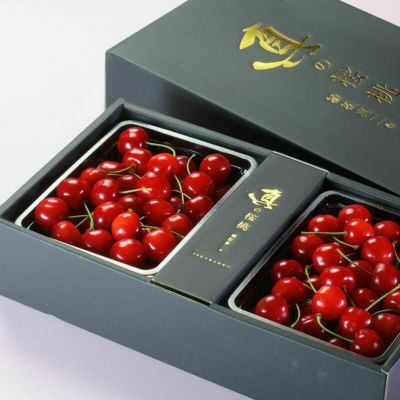 真の桜桃 紅秀峰 2L 1kg